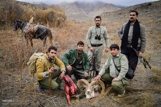 عکس: بازداشت شکارچیان پارک ملی گلستان