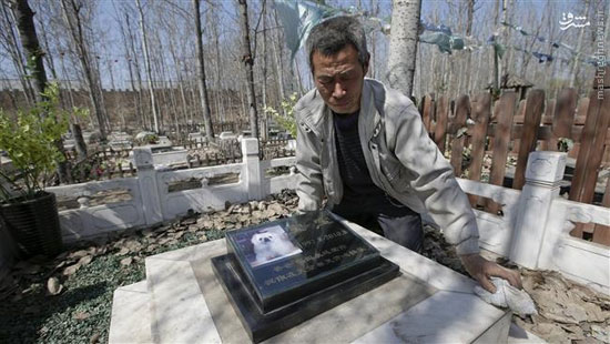 عکس: قبرستان حیوانات خانگی در چین