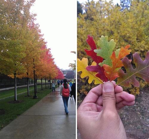 تماشا کنید: رنگین کمان پاییزی