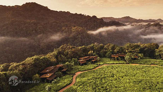 طبیعت زیبای روآندا بعد از جنگ و نسل‌کشی