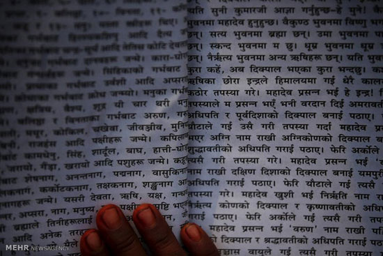 عکس: جشنواره سواستانی براتا در نپال