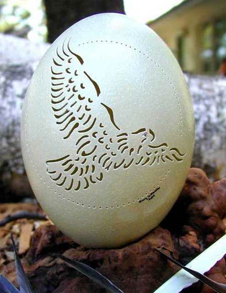 هنر نمایی فوق العاده زیبا با پوست تخم مرغ!