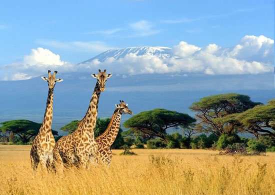 زیباترین و شگفت‌انگیزترین مکان‌های قاره‌ی آفریقا