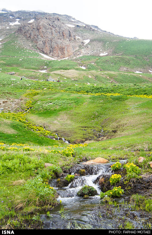 عکس: زیبایی های چهل‌چشمه کردستان