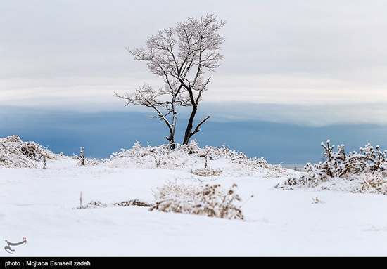 طبیعت زیبای زمستان در ارومیه