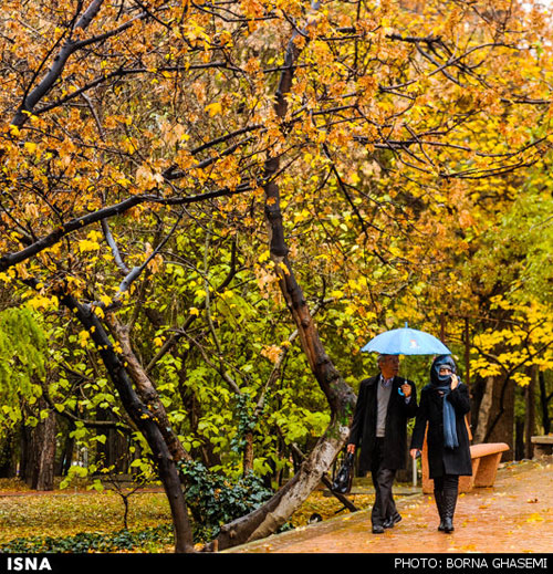 در این تهران، عاشق شوید +عکس