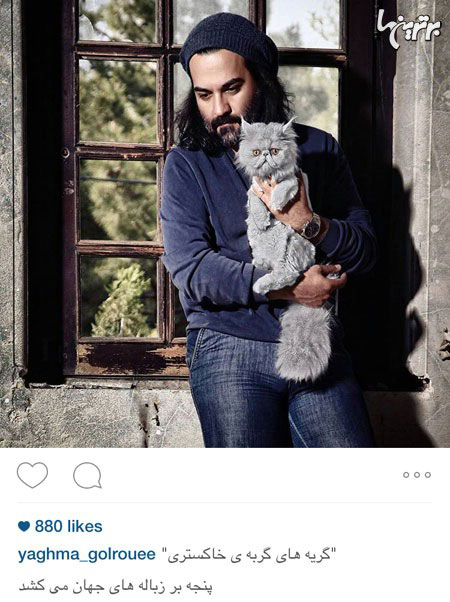 عکس هنری یغما گلرویی با گربه اش!