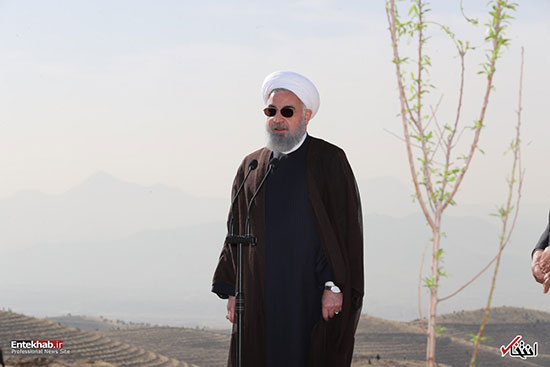 غرس نهال توسط رییس جمهور روحانی