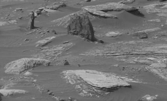 انتشار تصاویری دیدنی از رصد تنه درخت در مریخ