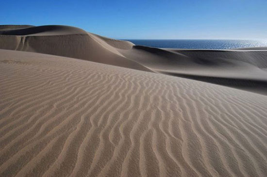 مرز تماشایی اقیانوس با کویر در صحرای نامیب