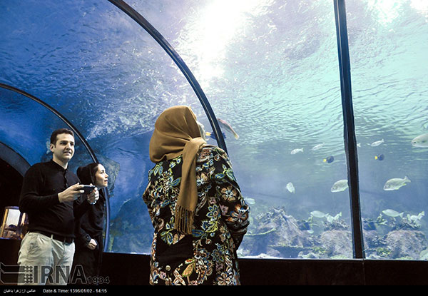 تصاویری از تونل آکواریوم در اصفهان