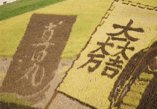 آثار هنری در مزرعه‌های برنج ژاپن