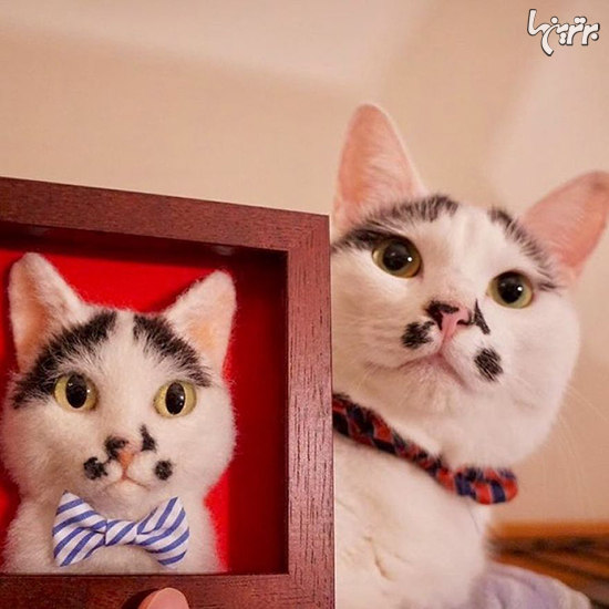 گربه‌های فوق العاده واقعی هنرمند ژاپنی از جنس نمد