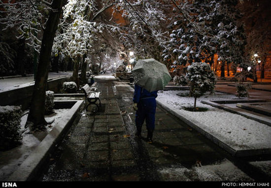 عکس: بارش برف در تهران