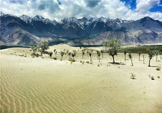 مرتفع‌ترین و سردترین صحرای جهان +عکس