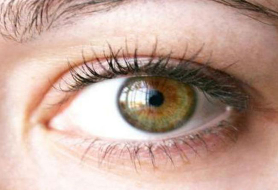 دانستنی‌های جالب درباره رنگ چشم فندقی