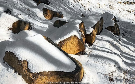 عکس: تالاب‌های زمستانی زیبای ارومیه
