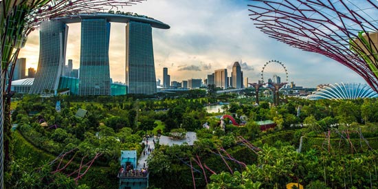 باغ معلق باشکوه و زیبا در سنگاپور +عکس