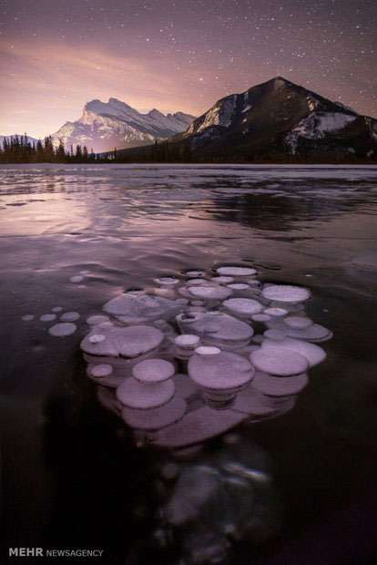 حباب های یخی طبیعی +عکس