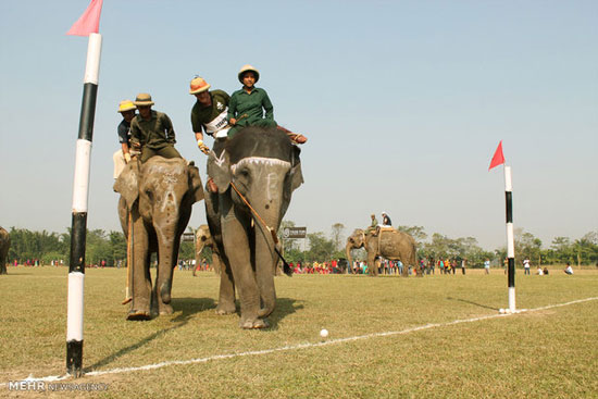مسابقات جهاني پولوی فيل ها در نپال‎