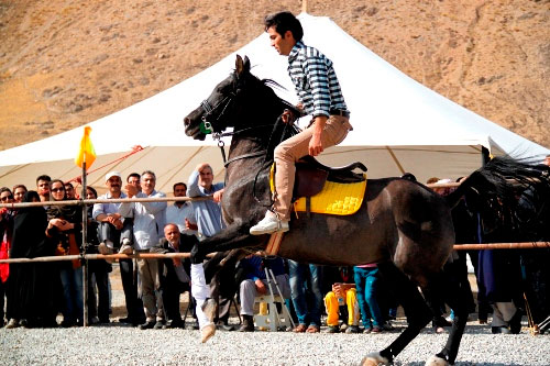 عکس: همایش زیبایی اسب در اراک