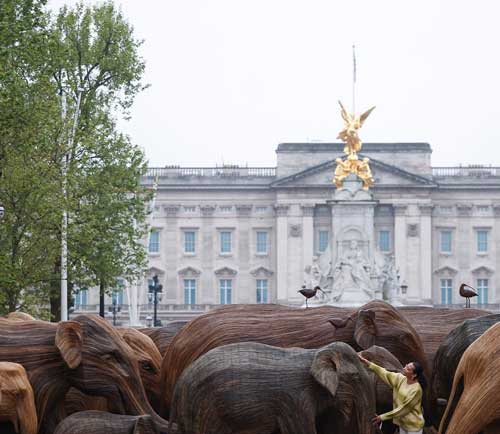 تصاویری از یک گله «فیل» مقابل کاخ ملکه بریتانیا!