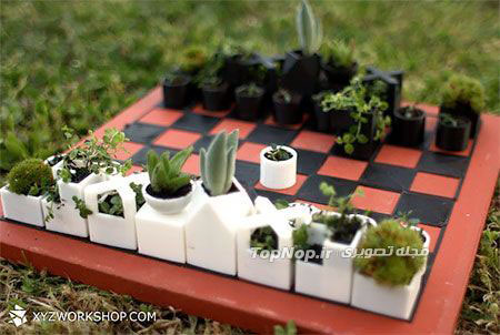 عکس: شطرنج گیاهی