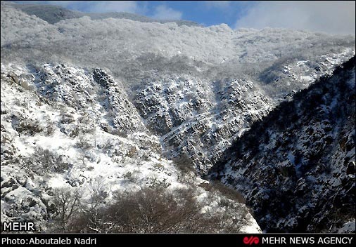 تصاویر: طبیعت زمستانی پارک ملی گلستان