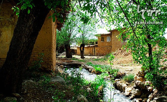 یاسوج؛ پایتخت طبیعت ایران، سرزمین بلوط