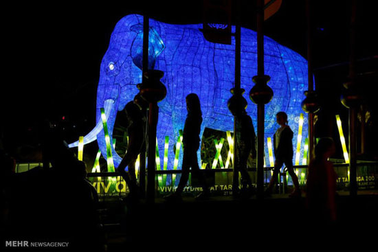 عکس: جشنواره نور در سیدنی