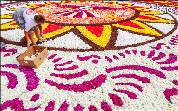 ساخت فرش ۱۸۰۰ متری گل با الهام از نقوش مکزیکی