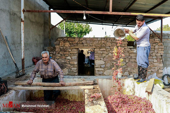 تولید سنتی شیره انگور در بهارستان سبزوار