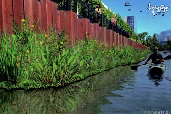 باغ های شناور در رودخانه شیکاگو
