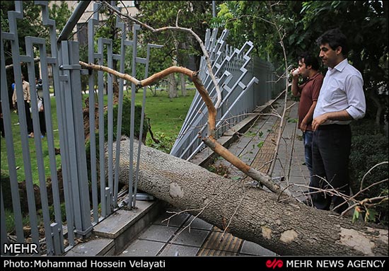 شوک عجیب طوفان مرگبار به تهران