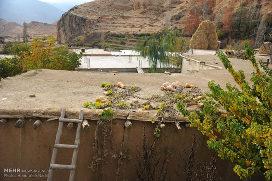 عکس: روستای فارسیان