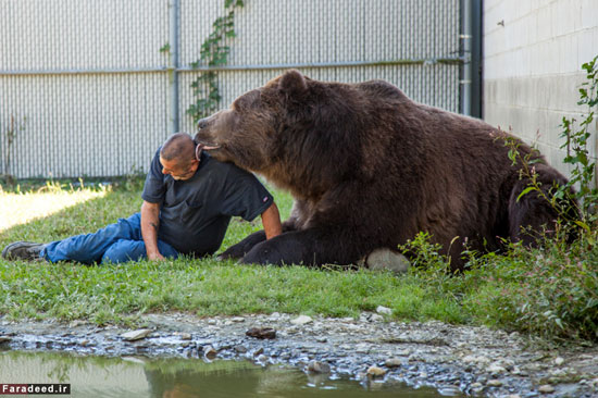 دوستی صمیمانه مرد و خرس غول‌پیکر