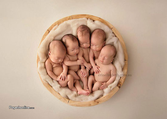 پنج قلوهایی که در نوزادی مدل شده‌اند