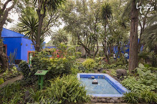 نگاهی به «خانه آبی» فریدا کالو