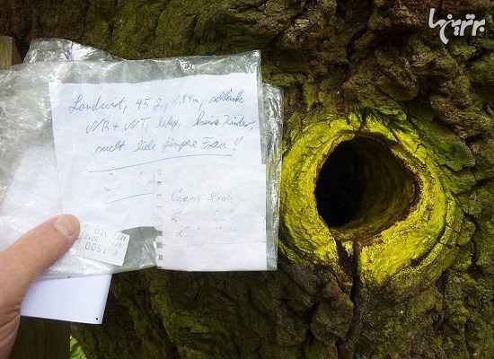 درختی که آدرس پستی دارد