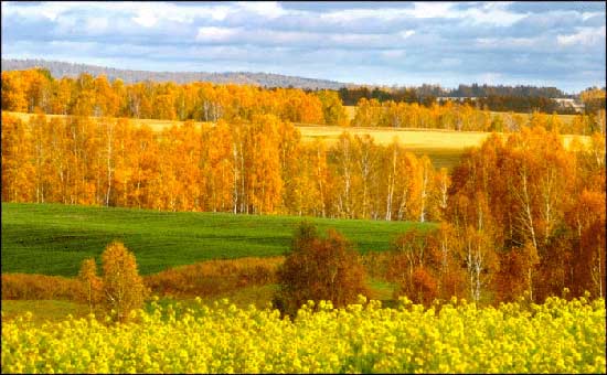 سیبری ؛ مکانی که قبل از مرگ باید آنرا دید!