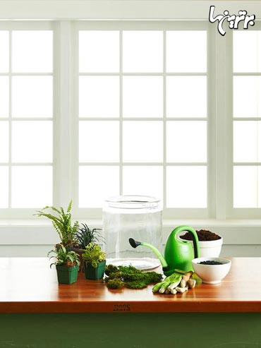 روش ساخت تراریوم، گلخانه شیشه‌ای کوچک