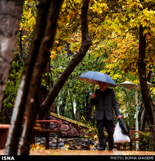 در این تهران، عاشق شوید +عکس