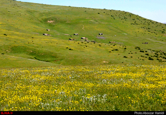 طبیعت زیبای «رودبار» گیلان