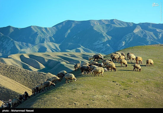 عکس: اینجا صحرای ترکمن است