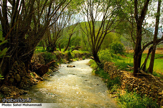 طبیعت محشر کردستان