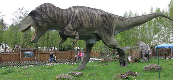 باورهای نادرست و رایج در مورد دایناسورها
