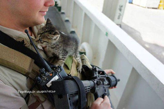 وقت گذرانی سربازان با حیوانات دست آموز