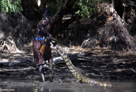 امرار معاش با شکار تمساح +عکس