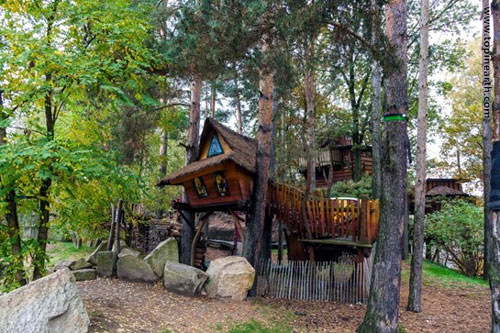 10 خانه جنگلی جذاب