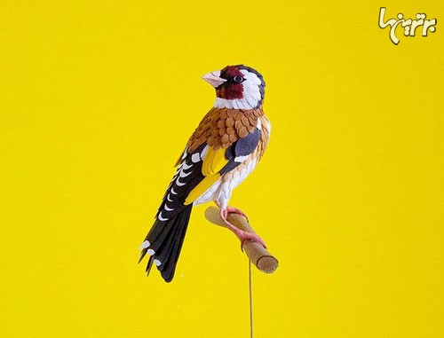 پرندگان کاغذیِ حیرت انگیز +عکس